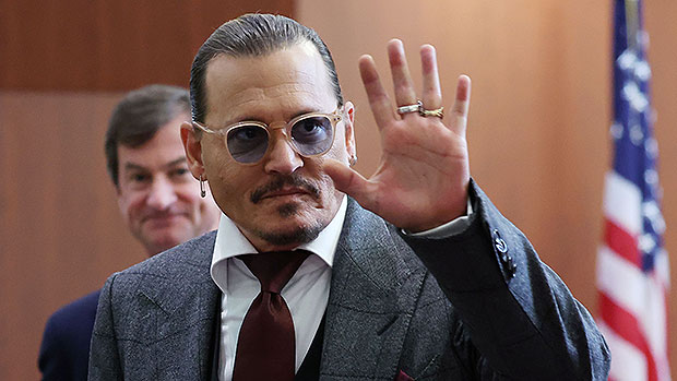Fãs de Johnny Depp levam alpacas para tribunal de julgamento