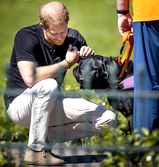 Prince Harry at Invictus Games