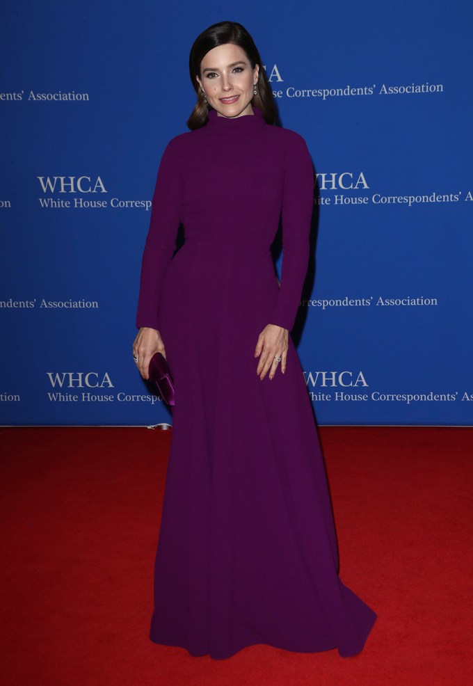 Sophia Bush Rocks Purple Gown For White House Correspondents’ Dinner