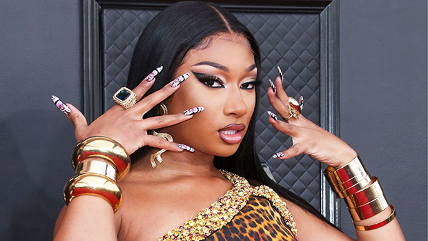 Megan Thee Stallion's Silver Snake Bra & Fang Nails Deserve a Standing  Ovation — See Photos
