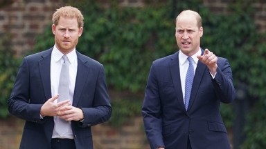 prince william, prince harry