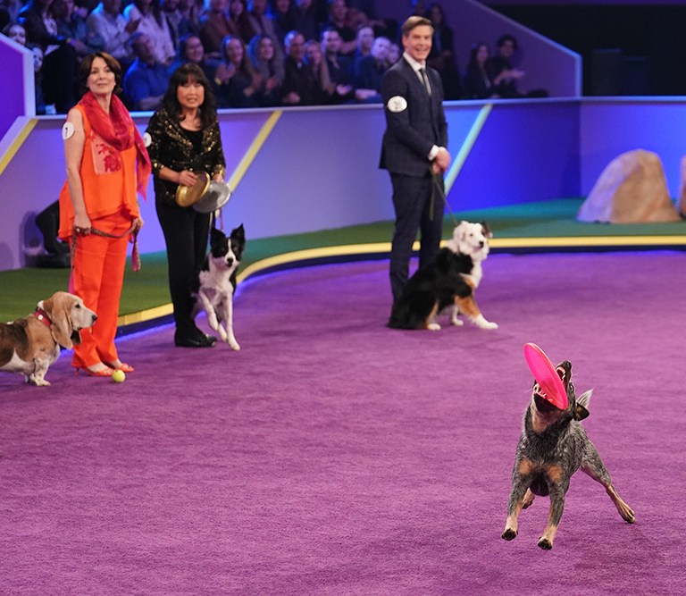 ‘American Rescue Dog Show’ Preview Exclusive BehindTheScenes Look