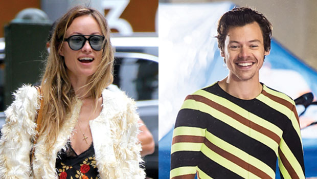 Olivia Wilde, Harry Styles