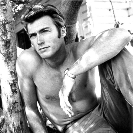 Editorial use only
Mandatory Credit: Photo by Snap/Shutterstock (390879aq)
FILM STILLS OF 1955, BARE CHEST, BEEFCAKE, CLINT EASTWOOD, POSED, TREE, COOL, PIN-UPS IN 1955
VARIOUS