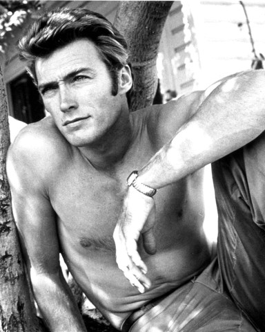 Editorial use onlyMandatory Credit: Photo by Snap/Shutterstock (390879aq)FILM STILLS OF 1955, BARE CHEST, BEEFCAKE, CLINT EASTWOOD, POSED, TREE, COOL, PIN-UPS IN 1955VARIOUS