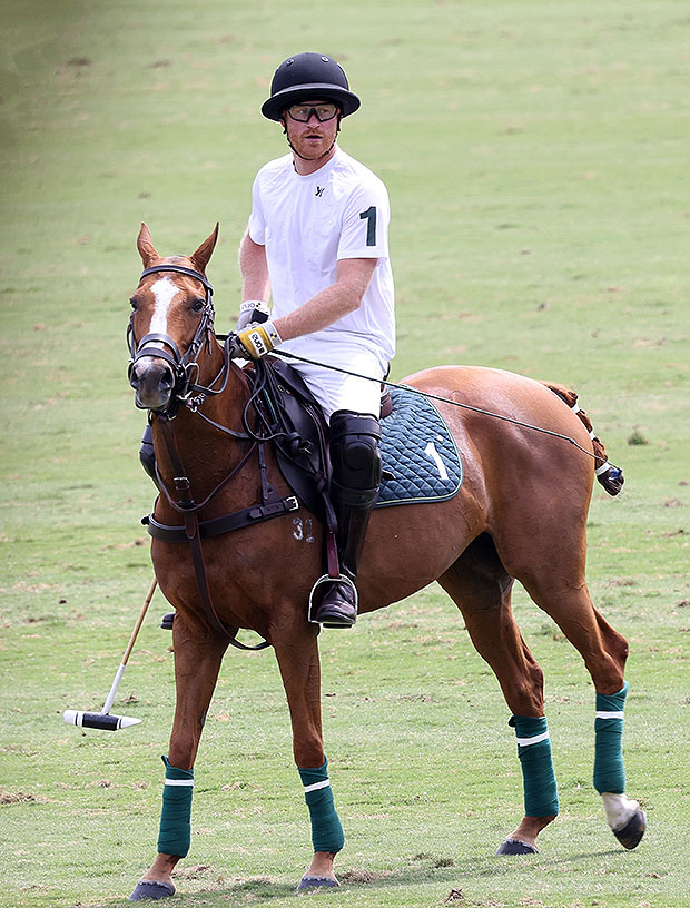 Prince Harry On a Horse 
