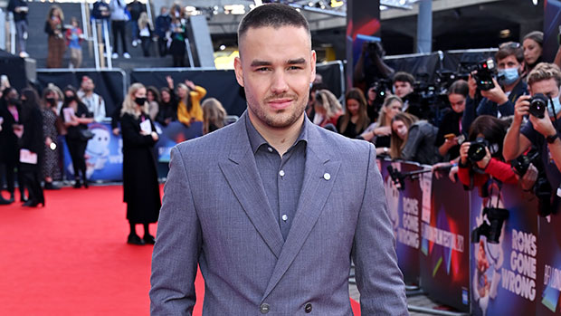 Liam Payne Links Arms With Aliana Mawla After Ending Maya Henry Engagement
