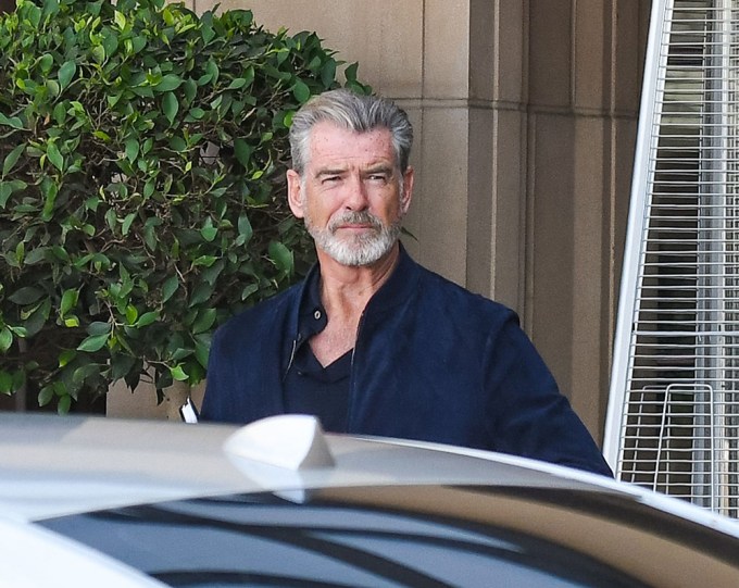 Pierce Brosnan In LA In 2019