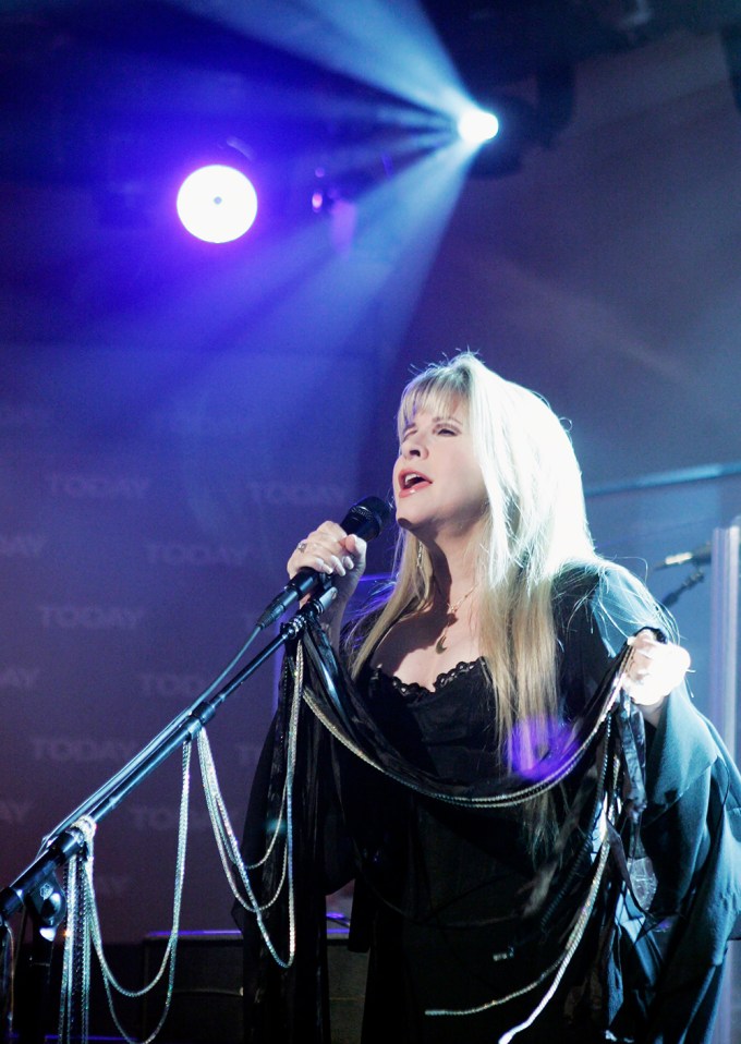 Stevie Nicks In 2007
