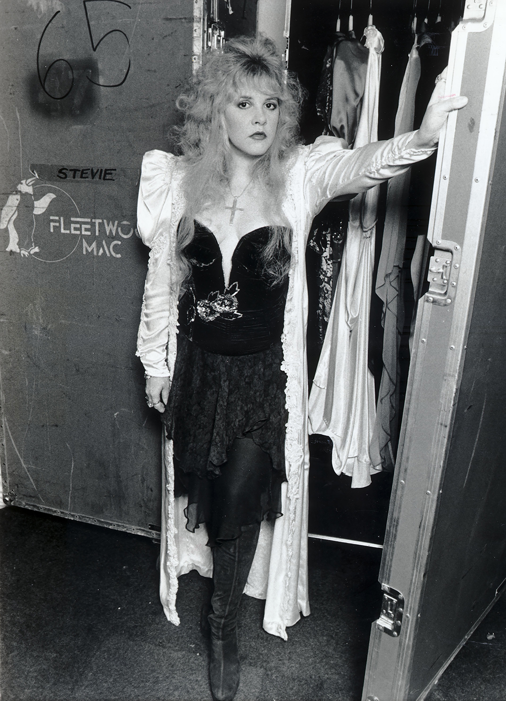 Pop Singer Stevie Nicks