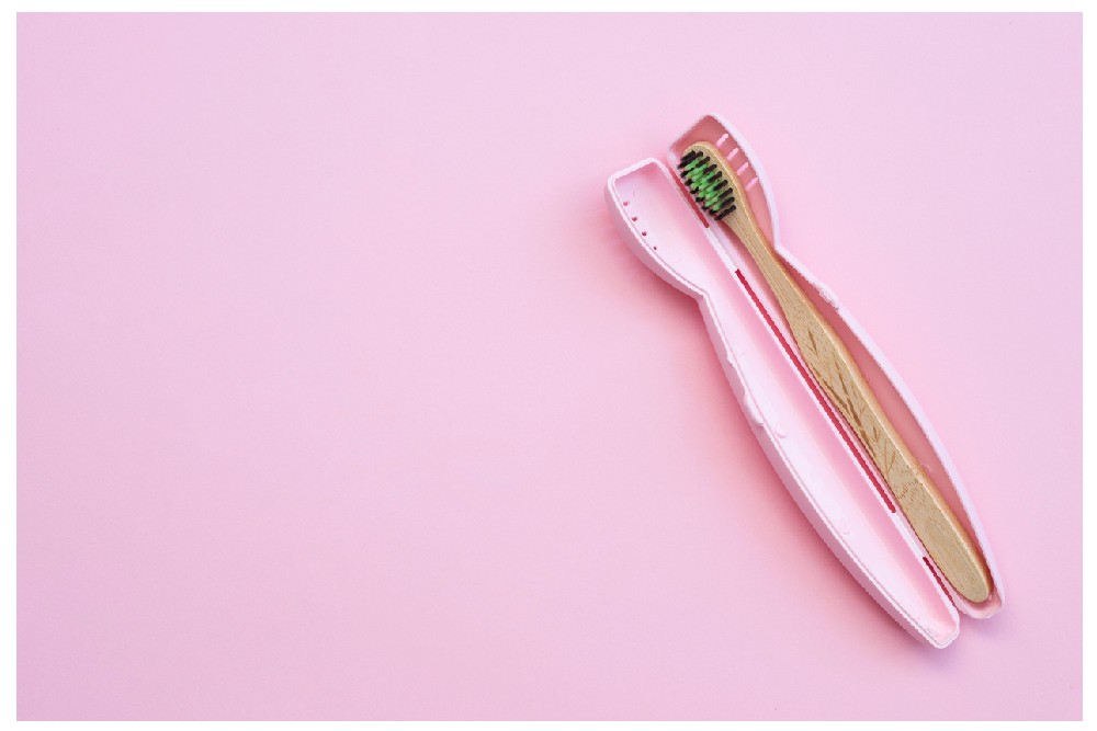 Top Toothbrush Case of 2024 Reviews by Hollywood Life Hollywood Life