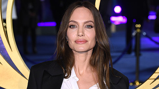 Angelina Jolie ‘Rising Above’ Brad Pitt’s Latest Lawsuit By Staying Focused On Their 6 Kids