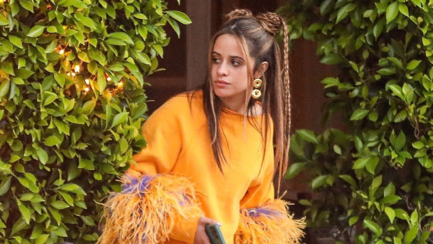 Camila Cabello Is Festive In Bright Yellow Top With Feathers While Out In LA: Photo