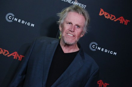 Gary Busey
'Dead Ant' film premiere, Arrivals, Los Angeles, USA - 22 Jan 2019