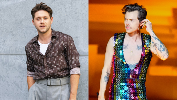 Niall Horan Rocks Out To Harry Styles Singing One Direction Classic At His Concert: Watch