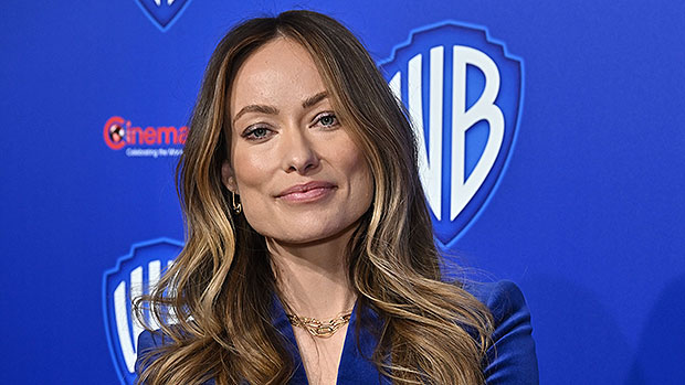Olivia Wilde & More Stars Scared After Supreme Court Strikes Down NY Gun Law: Lives ‘At Stake’