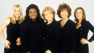 joy behar, star jones, debbie matenopoulos, barbara walters, meredith vieira