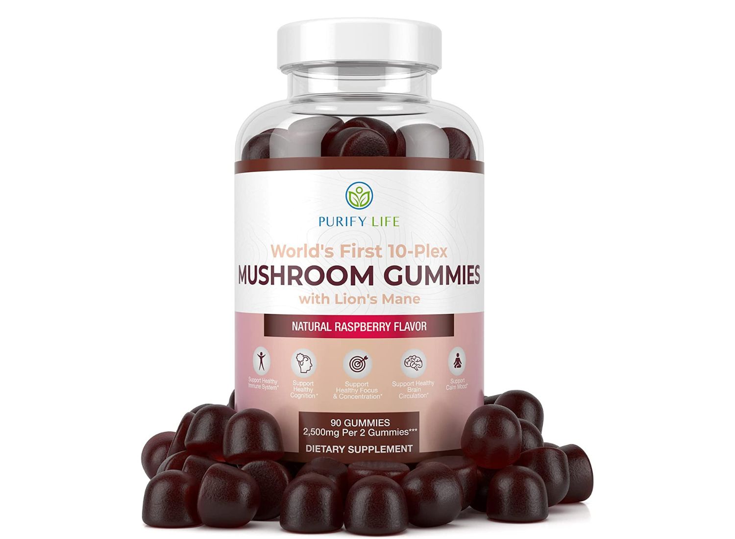 mushroom supplement review