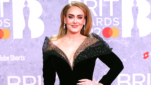 Adele Twerks In Sheer Black Gown At Hyde Park Show In London: Watch