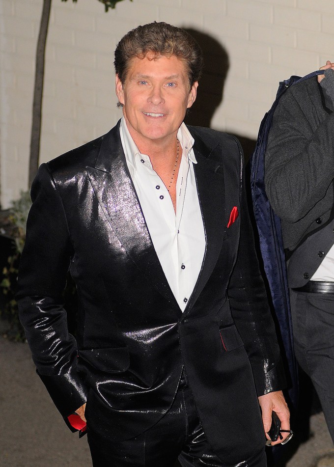 David Hasselhoff Leaves ‘The X Factor’