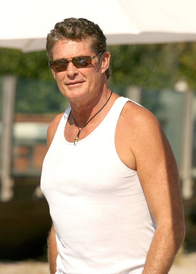 David Hasselhoff In 2007