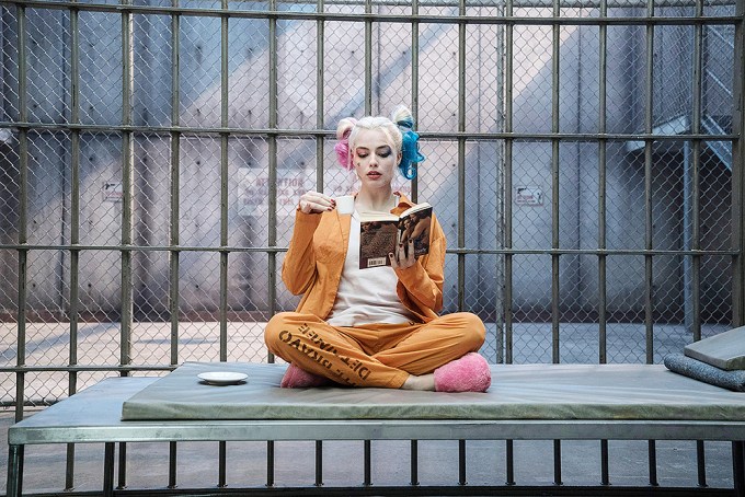 Harley Quinn In Prison