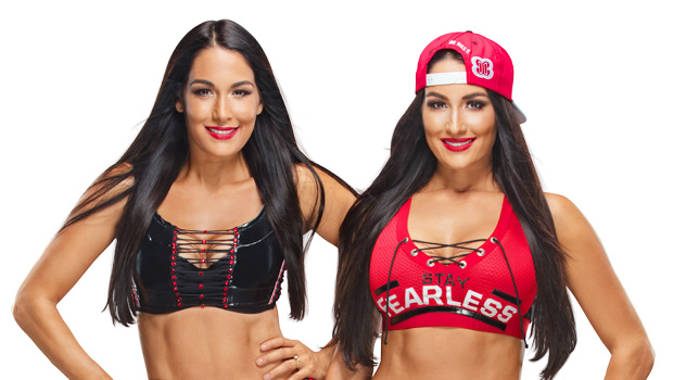 Biography: WWE Legends' Preview: Nikki Bella On Serious Soccer Injury â€“  Hollywood Life