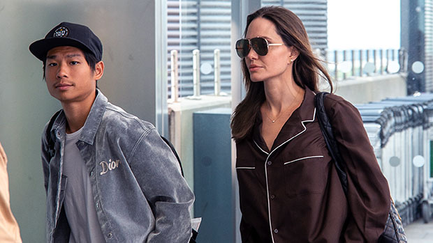 Angelina Jolie Carrying Gray Bag at Airport