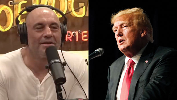 Joe Rogan mocks Donald Trump as a 'baby man' on his podcast