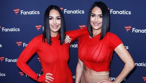 nikki bella, brie bella