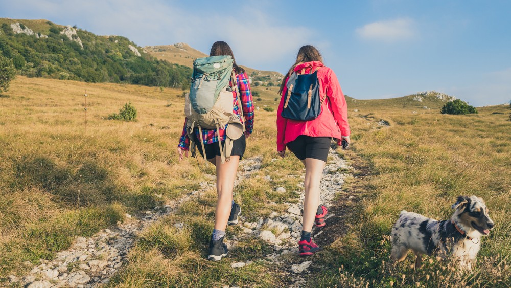 highly rated womens hiking shorts