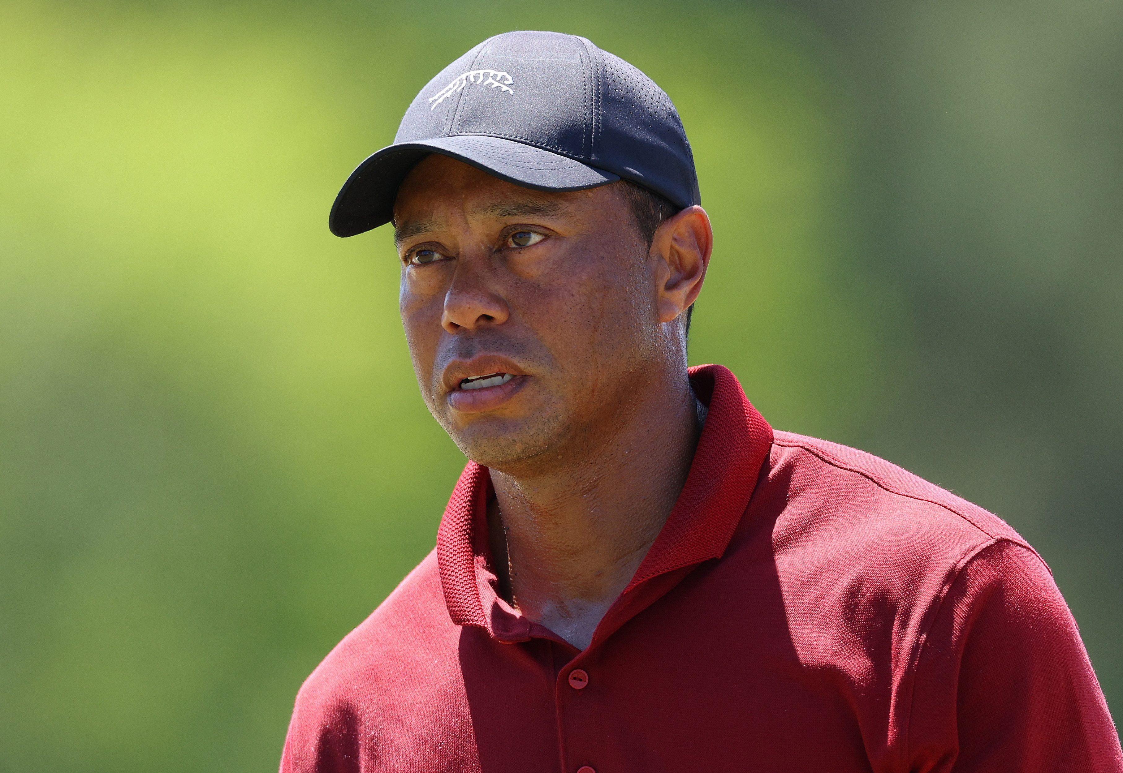 Stars Who Survived Car Crashes: Tiger Woods, Scott Disick & More Celebrity Car Accidents