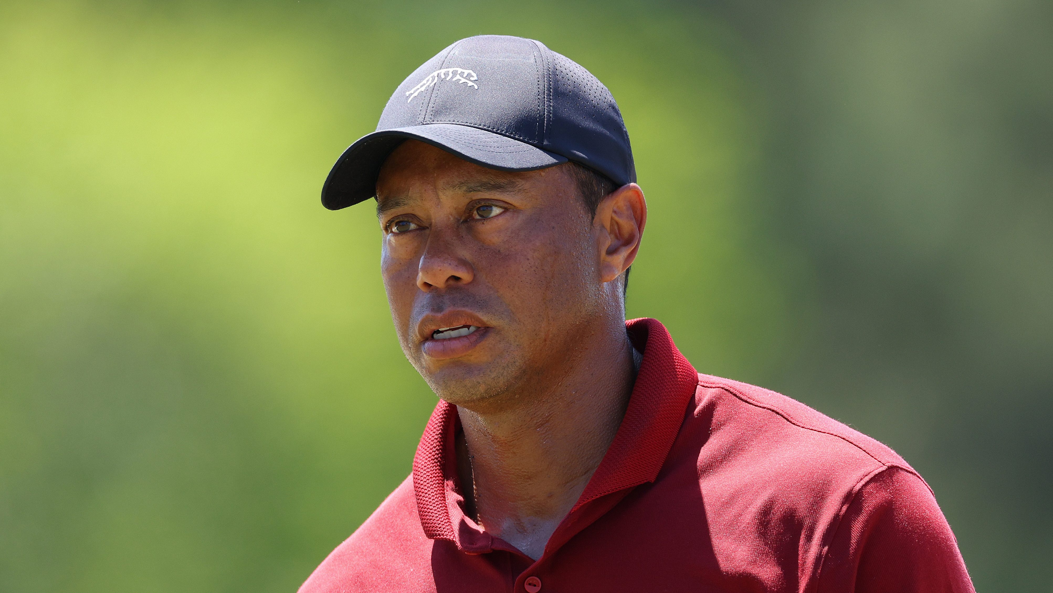 Stars Who Survived Car Crashes: Tiger Woods, Scott Disick & More Celebrity Car Accidents Stars Who Survived Car Crashes: Tiger Woods, Scott Disick & More Celebrity Car Accidents