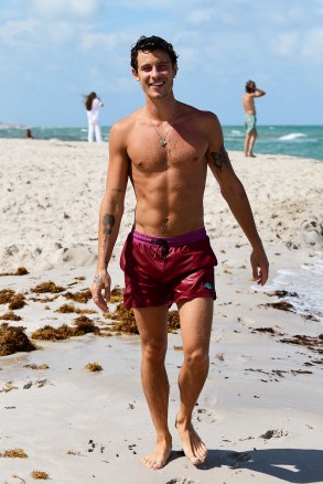 Shawn Mendes seems happy and healthy as he hits the beach with friends in Miami. The singer even found time to hug some fans who were waiting as he exited the ocean. 07 Aug 2022 Pictured: Shawn Mendes. Photo credit: MEGA TheMegaAgency.com +1 888 505 6342 (Mega Agency TagID: MEGA884737_004.jpg) [Photo via Mega Agency]