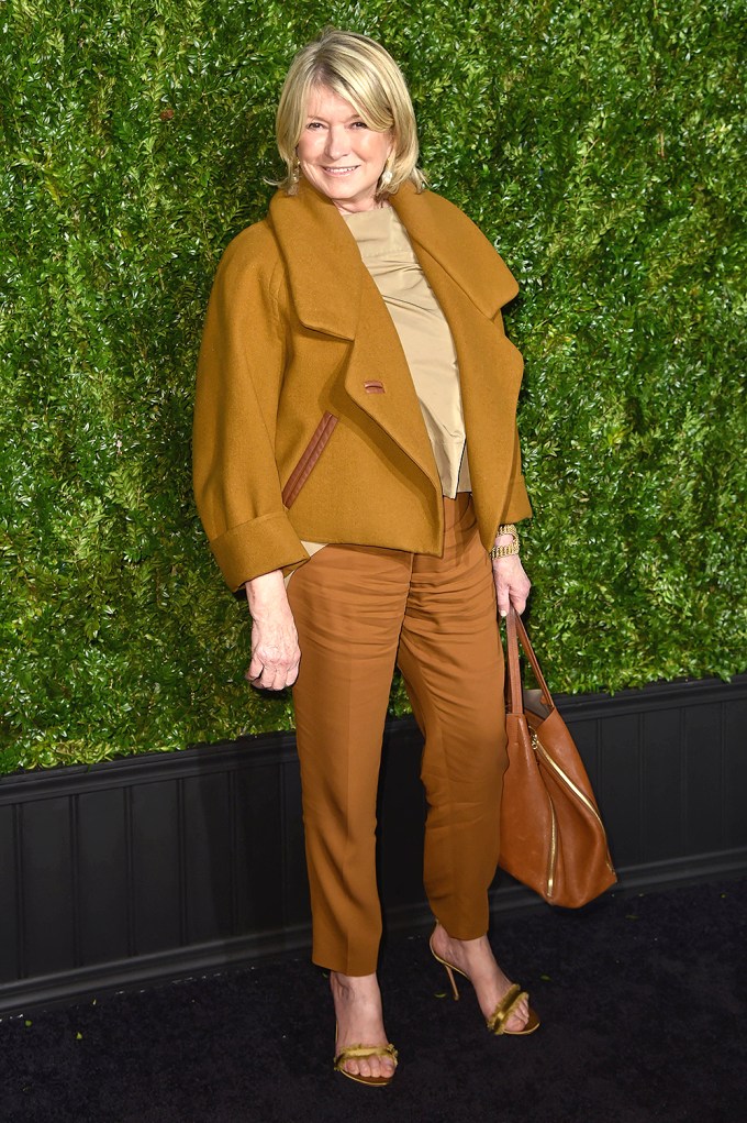 Martha Stewart In 2017