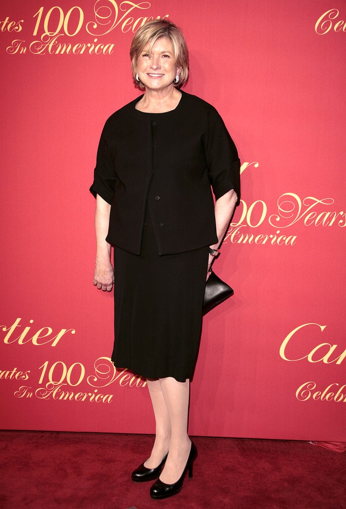 Martha Stewart In 2009