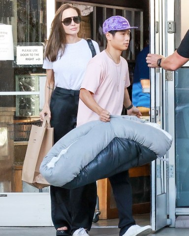 Los Angeles, CA  - *EXCLUSIVE*  - Angelina Jolie and her son Pax stop by The Urban Pet supply store in Los Angeles for a dog bed and cage.Pictured: Angelina JolieBACKGRID USA 5 SEPTEMBER 2022 USA: +1 310 798 9111 / usasales@backgrid.comUK: +44 208 344 2007 / uksales@backgrid.com*UK Clients - Pictures Containing ChildrenPlease Pixelate Face Prior To Publication*