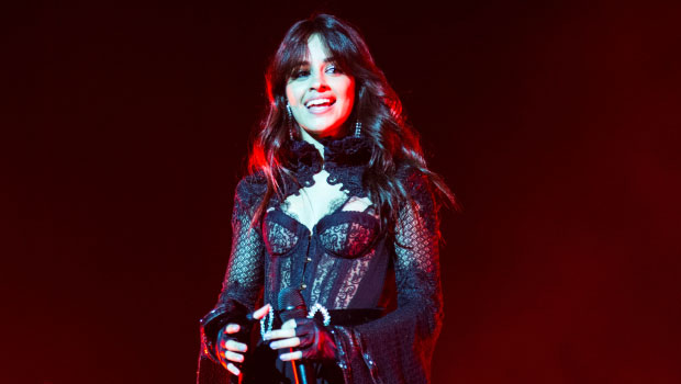 Austin Kevitch: 5 things to know about the tech CEO dating Camila Cabello