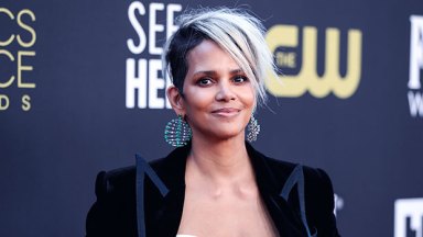 Halle Berry’s Purple Hair Makeover: Before & After Photos – Hollywood Life