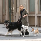 Jennifer Lawrence Walks Three Dogs Filming A Christian Dior Commercial In New York City