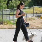 Lucy Hale walking her dogs