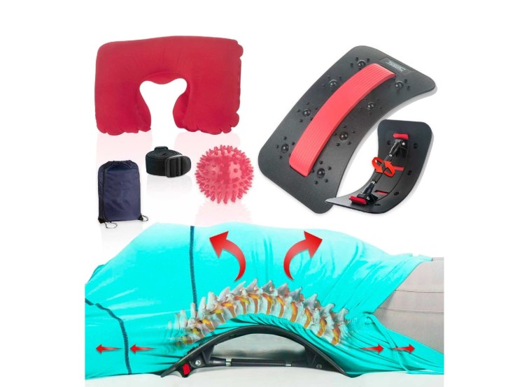 HighestRated Chiro Boards of 2023 Hollywood Life Reviews Hollywood
