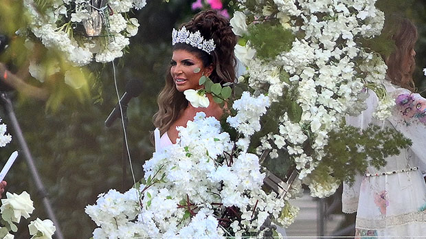 Teresa Giudice betäubt in einem trägerlosen weißen Hochzeitskleid, als sie Luis Ruelas heiratet: Fotos