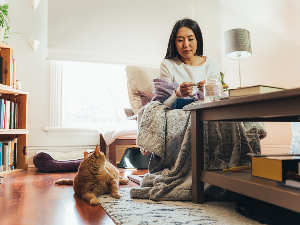 Toprated Electric Blankets of 2023 Reviews by Hollywood Life