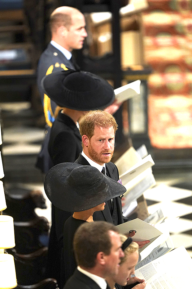 Prince Harry