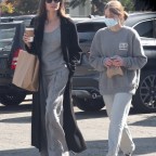 *EXCLUSIVE* Angelina Jolie goes grocery shopping at Gelson's