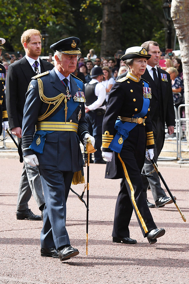King Charles III, Prince Harry, Princess Anne