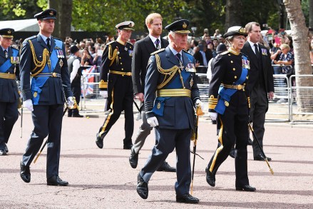 (Back row) Prince William, Prince of Wales, Prince Harry, Duke of Sussex, Peter Phillips (front row) King Charles III and Princess Anne, Princess Royal walk behind the coffin during the procession for the Lying-in State of Queen Elizabeth II on September 14, 2022 in London, England. Queen Elizabeth II's coffin is taken in procession on a Gun Carriage of The King's Troop Royal Horse Artillery from Buckingham Palace to Westminster Hall where she will lay in state until the early morning of her funeral. Queen Elizabeth II died at Balmoral Castle in Scotland on September 8, 2022, and is succeeded by her eldest son, King Charles III.
The Coffin Carrying Queen Elizabeth II Is Transferred From Buckingham Palace To The Palace Of Westminster, London, UK - 14 Sep 2022