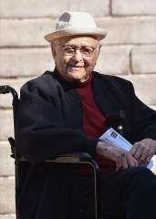Norman Lear
Fire Drill Friday protest, Los Angeles, USA - 07 Feb 2020
