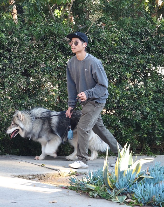 Pax Jolie-Pitt Walks His Dog